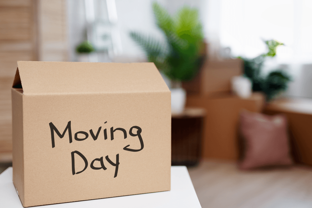 Moving Day